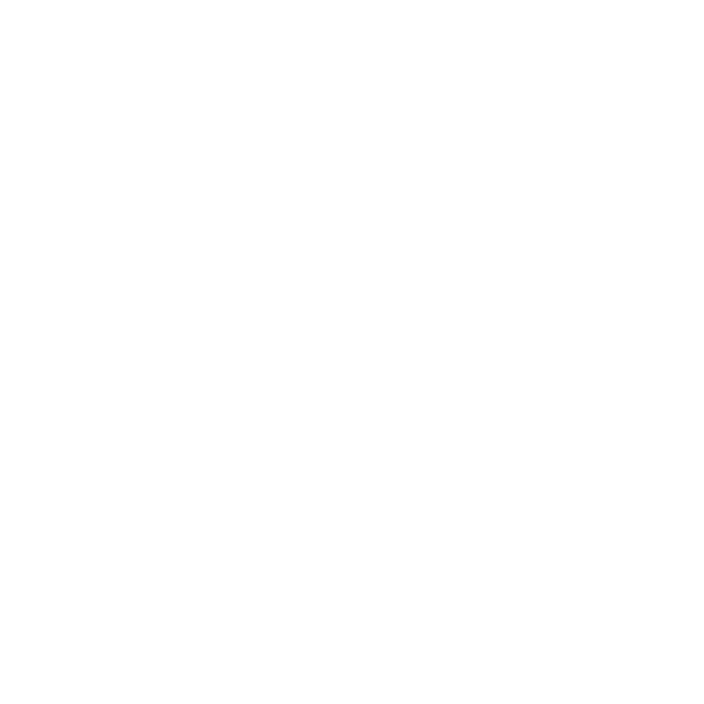 Vegan Friendly