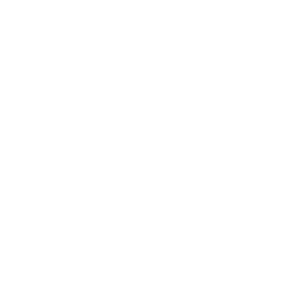 Vegan Friendly