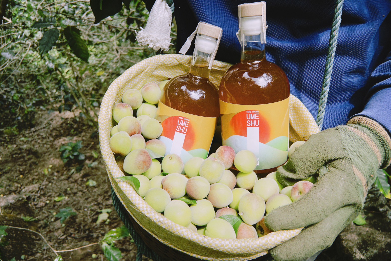 Mae Wang Umeshu view 5